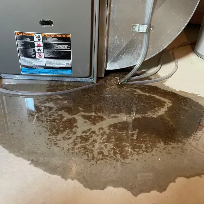 Appliance Leak Cleanup in Parlier, CA